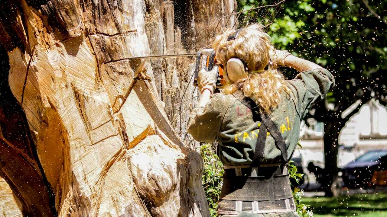 Best Tree Cutting Near Me  in Beaver, PA